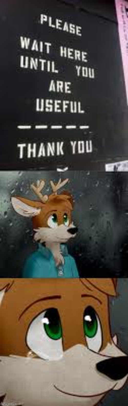sorry its a little hazy | image tagged in furry | made w/ Imgflip meme maker