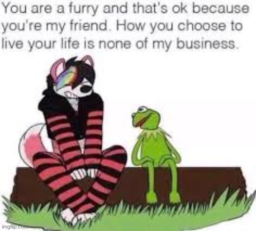 i wish my parents were like this | image tagged in furry | made w/ Imgflip meme maker