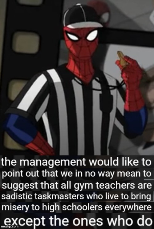 Coach Spidey Disclaimer | image tagged in coach spidey disclaimer | made w/ Imgflip meme maker