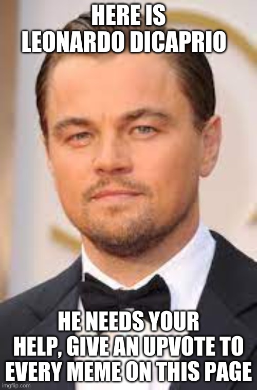 He needs help |  HERE IS LEONARDO DICAPRIO; HE NEEDS YOUR HELP, GIVE AN UPVOTE TO EVERY MEME ON THIS PAGE | image tagged in leonardo dicaprio cheers | made w/ Imgflip meme maker