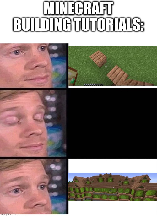 If you blink once during a tutorial, you have to watch the whole thing over again. | MINECRAFT BUILDING TUTORIALS: | image tagged in blinking guy vertical blank | made w/ Imgflip meme maker