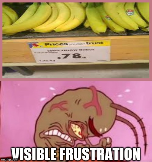 Visible Frustration | VISIBLE FRUSTRATION | image tagged in visible frustration | made w/ Imgflip meme maker