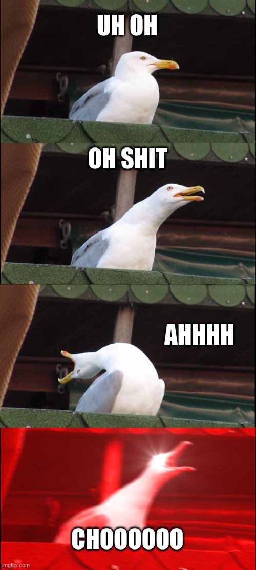 Inhaling Seagull | UH OH; OH SHIT; AHHHH; CHOOOOOO | image tagged in memes,inhaling seagull | made w/ Imgflip meme maker