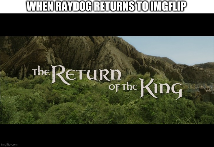Return Of The King | WHEN RAYDOG RETURNS TO IMGFLIP | image tagged in return of the king | made w/ Imgflip meme maker