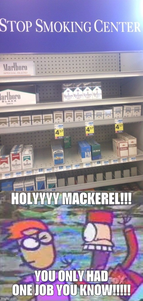 HOLYYYY MACKEREL!!! YOU ONLY HAD ONE JOB YOU KNOW!!!!! | image tagged in you only had one job stickin around edition | made w/ Imgflip meme maker