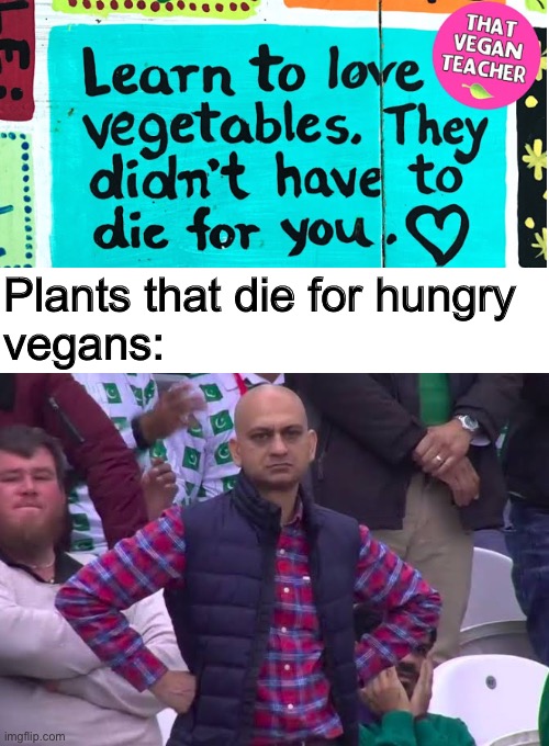 Welcome to down town delusional. Population: her | Plants that die for hungry 
vegans: | image tagged in disappointed man,vegan logic,moron | made w/ Imgflip meme maker