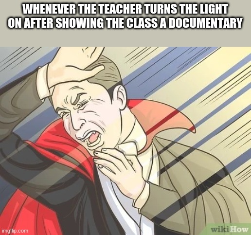 Lol wut | WHENEVER THE TEACHER TURNS THE LIGHT ON AFTER SHOWING THE CLASS A DOCUMENTARY | image tagged in vampire hissing | made w/ Imgflip meme maker