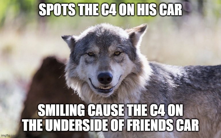 GTA 5 wolf | SPOTS THE C4 ON HIS CAR; SMILING CAUSE THE C4 ON THE UNDERSIDE OF FRIENDS CAR | image tagged in wolf smiling | made w/ Imgflip meme maker