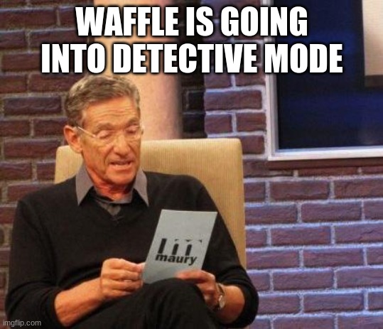 Maury Lie Detector | WAFFLE IS GOING INTO DETECTIVE MODE | image tagged in maury lie detector | made w/ Imgflip meme maker