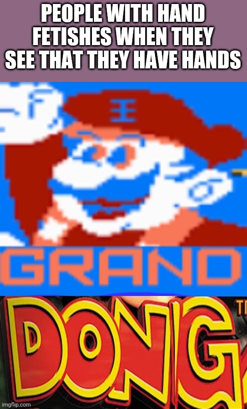 Grand dong | PEOPLE WITH HAND FETISHES WHEN THEY SEE THAT THEY HAVE HANDS | image tagged in grand dong,memes,funny | made w/ Imgflip meme maker
