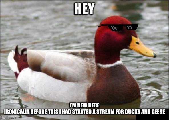 Malicious Advice Mallard | HEY; I’M NEW HERE
IRONICALLY BEFORE THIS I HAD STARTED A STREAM FOR DUCKS AND GEESE | image tagged in memes,malicious advice mallard | made w/ Imgflip meme maker