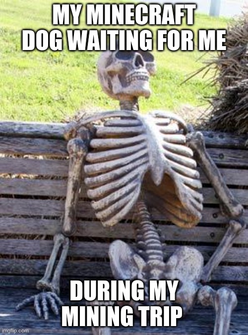 Waiting Skeleton | MY MINECRAFT DOG WAITING FOR ME; DURING MY MINING TRIP | image tagged in memes,waiting skeleton | made w/ Imgflip meme maker