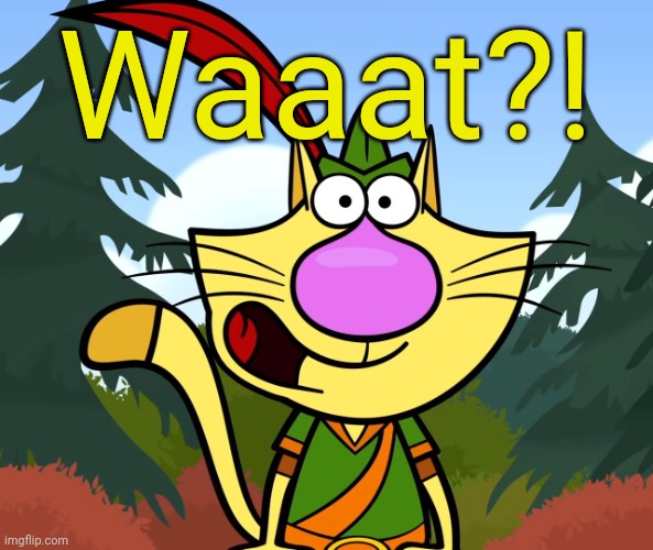 No Way!! (Nature Cat) | Waaat?! | image tagged in no way nature cat | made w/ Imgflip meme maker