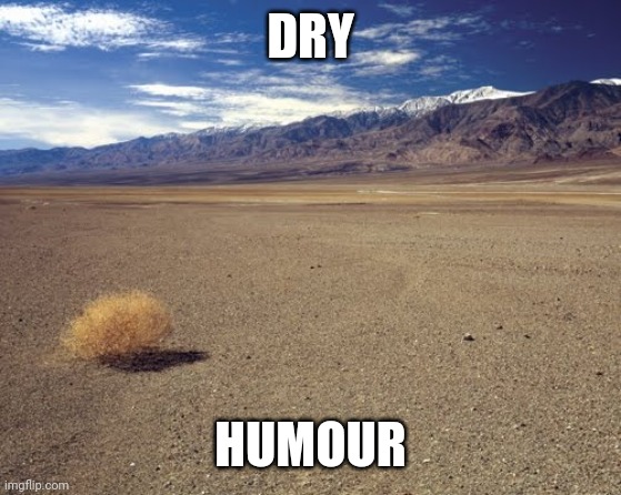desert tumbleweed | DRY HUMOUR | image tagged in desert tumbleweed | made w/ Imgflip meme maker
