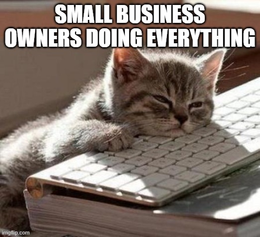 tired cat |  SMALL BUSINESS OWNERS DOING EVERYTHING | image tagged in tired cat | made w/ Imgflip meme maker