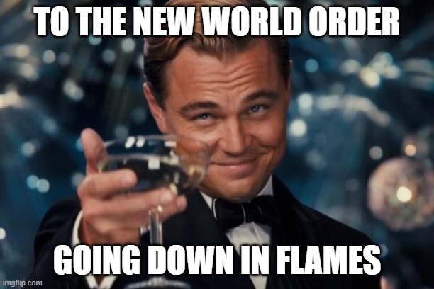 NWO going down in flames | TO THE NEW WORLD ORDER; GOING DOWN IN FLAMES | image tagged in memes,leonardo dicaprio cheers,cheers,a toast,glass raised | made w/ Imgflip meme maker