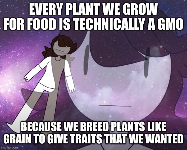 Galaxy Jaiden | EVERY PLANT WE GROW FOR FOOD IS TECHNICALLY A GMO; BECAUSE WE BREED PLANTS LIKE GRAIN TO GIVE TRAITS THAT WE WANTED | image tagged in galaxy jaiden | made w/ Imgflip meme maker