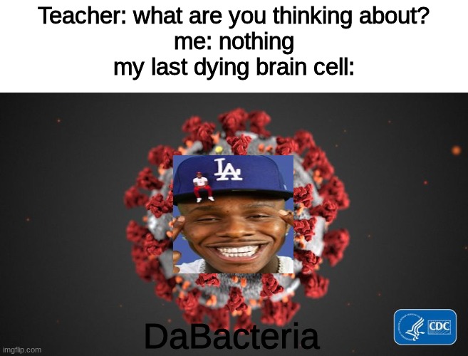 DaBacteria | Teacher: what are you thinking about?
me: nothing
my last dying brain cell:; DaBacteria | image tagged in covid 19,dababy,memes,funny,dababy meme,stop reading the tags and get to viewing the meme | made w/ Imgflip meme maker