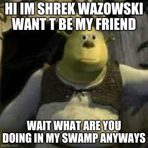 bad friend | HI IM SHREK WAZOWSKI WANT T BE MY FRIEND; WAIT WHAT ARE YOU DOING IN MY SWAMP ANYWAYS | image tagged in shrek | made w/ Imgflip meme maker