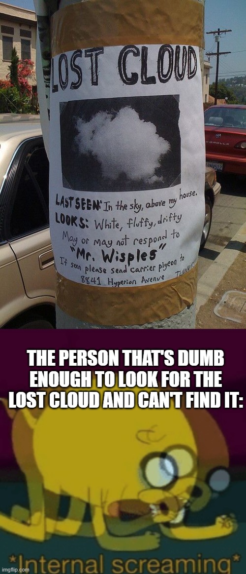 Lost cloud..... | THE PERSON THAT'S DUMB ENOUGH TO LOOK FOR THE LOST CLOUD AND CAN'T FIND IT: | image tagged in jake the dog internal screaming,memes,funny | made w/ Imgflip meme maker