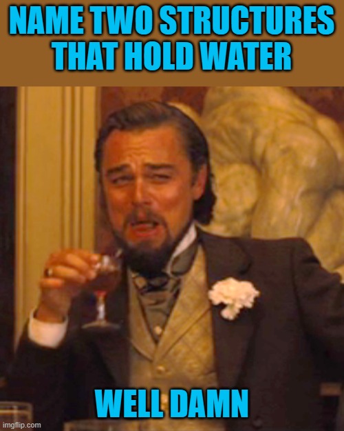 Laughing Leo Meme | NAME TWO STRUCTURES THAT HOLD WATER; WELL DAMN | image tagged in memes,laughing leo | made w/ Imgflip meme maker