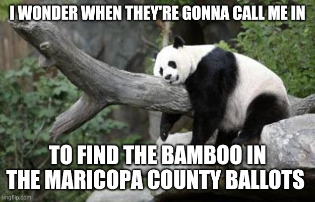 The grasping at straws the pro-fraud crowd is doing has taken a literal turn. | I WONDER WHEN THEY'RE GONNA CALL ME IN; TO FIND THE BAMBOO IN THE MARICOPA COUNTY BALLOTS | image tagged in lazy panda,voter fraud,arizona | made w/ Imgflip meme maker