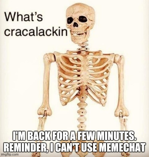 What's cracalackin | I'M BACK FOR A FEW MINUTES. REMINDER, I CAN'T USE MEMECHAT | image tagged in what's cracalackin | made w/ Imgflip meme maker