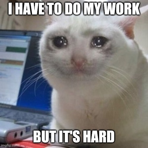 Crying cat | I HAVE TO DO MY WORK; BUT IT'S HARD | image tagged in crying cat | made w/ Imgflip meme maker