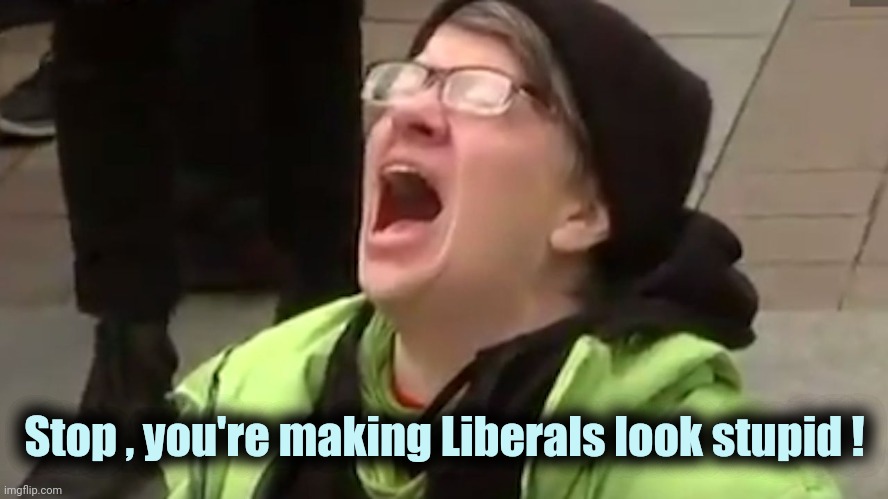 Screaming Liberal  | Stop , you're making Liberals look stupid ! | image tagged in screaming liberal | made w/ Imgflip meme maker