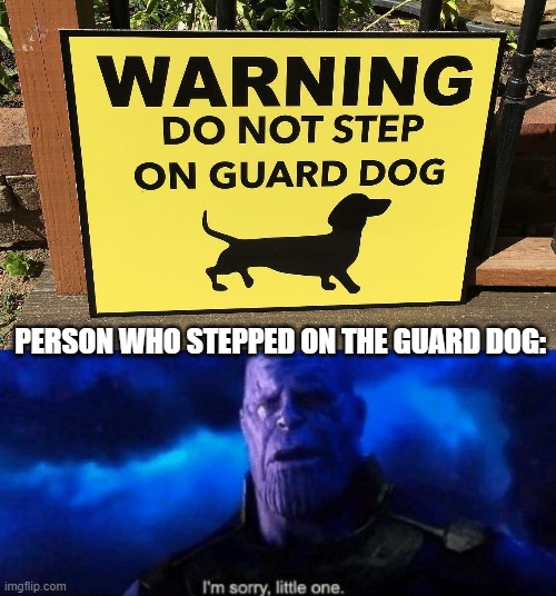 I think they will need a bigger dog! | PERSON WHO STEPPED ON THE GUARD DOG: | image tagged in im sorry little one,memes,funny | made w/ Imgflip meme maker