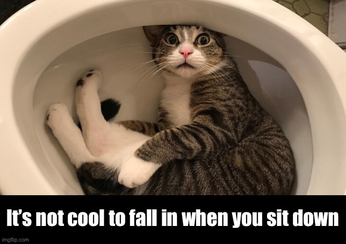 It’s not cool to fall in when you sit down | made w/ Imgflip meme maker