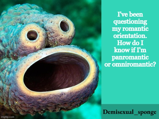 Insert title here | I've been questioning my romantic orientation. How do I know if I'm panromantic or omniromantic? | image tagged in demisexual_sponge | made w/ Imgflip meme maker