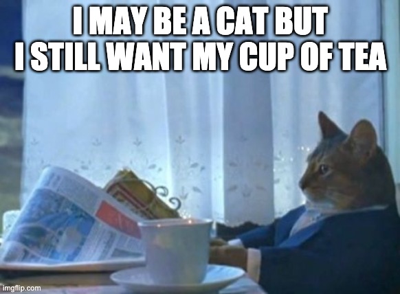 Wheres my cup of tea? | I MAY BE A CAT BUT I STILL WANT MY CUP OF TEA | image tagged in memes,i should buy a boat cat | made w/ Imgflip meme maker