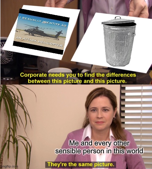 They're The Same Picture | Me and every other sensible person in this world | image tagged in memes,they're the same picture,attack helicopter,helicopter,gender,lgbtq | made w/ Imgflip meme maker