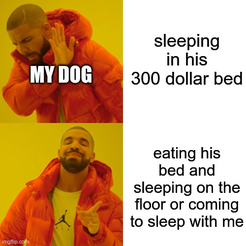 Drake Hotline Bling Meme | sleeping in his 300 dollar bed; MY DOG; eating his bed and sleeping on the floor or coming to sleep with me | image tagged in memes,drake hotline bling | made w/ Imgflip meme maker