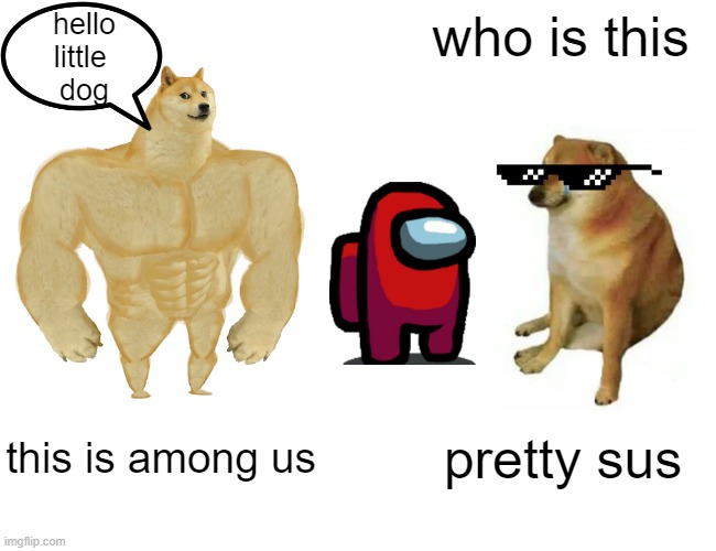 fuuny | hello
little 
dog; who is this; this is among us; pretty sus | image tagged in memes,buff doge vs cheems | made w/ Imgflip meme maker