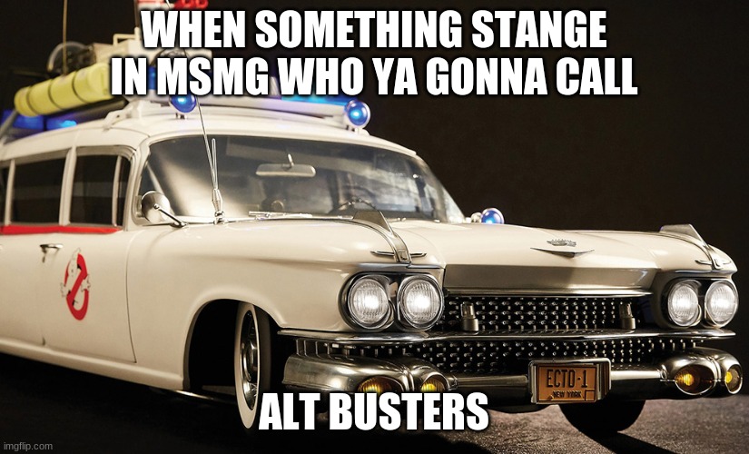 Ecto | WHEN SOMETHING STANGE IN MSMG WHO YA GONNA CALL; ALT BUSTERS | image tagged in ecto | made w/ Imgflip meme maker