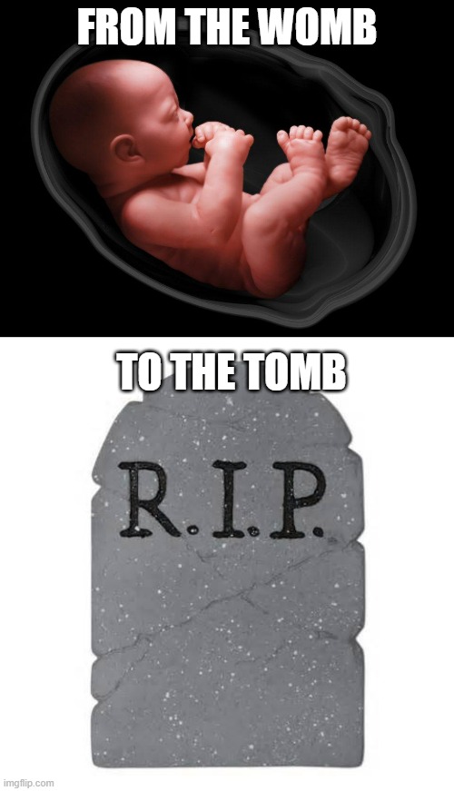 Every life matters | FROM THE WOMB; TO THE TOMB | image tagged in baby in womb,tombstone | made w/ Imgflip meme maker