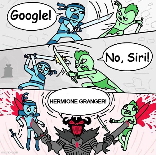 The Hogwarts Internet | Google! No, Siri! HERMIONE GRANGER! | image tagged in sword fight argument,harry potter,hermione granger,google,siri | made w/ Imgflip meme maker