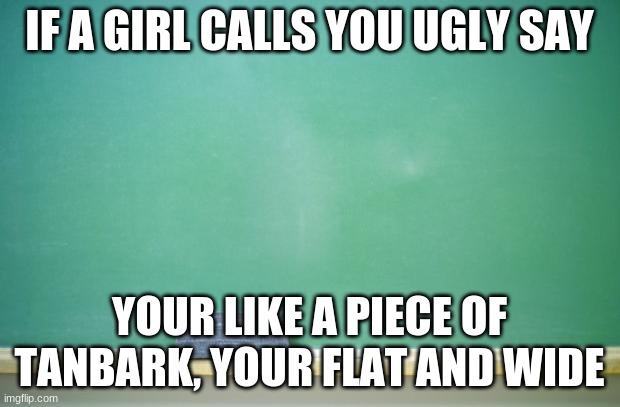 lol cringey | IF A GIRL CALLS YOU UGLY SAY; YOUR LIKE A PIECE OF TANBARK, YOUR FLAT AND WIDE | image tagged in blank chalkboard | made w/ Imgflip meme maker