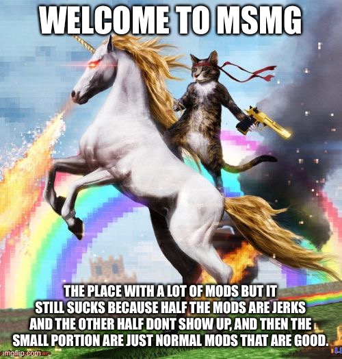 Please enjoy your stay | WELCOME TO MSMG; THE PLACE WITH A LOT OF MODS BUT IT STILL SUCKS BECAUSE HALF THE MODS ARE JERKS AND THE OTHER HALF DONT SHOW UP, AND THEN THE SMALL PORTION ARE JUST NORMAL MODS THAT ARE GOOD. | image tagged in memes,welcome to the internets | made w/ Imgflip meme maker