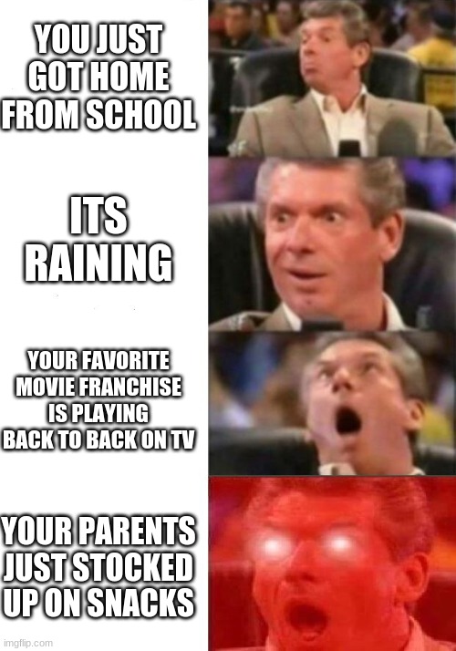 Mr. McMahon reaction | YOU JUST GOT HOME FROM SCHOOL; ITS RAINING; YOUR FAVORITE MOVIE FRANCHISE IS PLAYING BACK TO BACK ON TV; YOUR PARENTS JUST STOCKED UP ON SNACKS | image tagged in mr mcmahon reaction | made w/ Imgflip meme maker