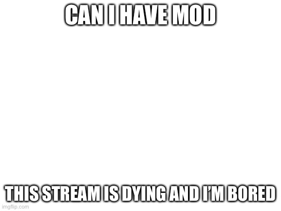 Mod? | CAN I HAVE MOD; THIS STREAM IS DYING AND I’M BORED | image tagged in blank white template | made w/ Imgflip meme maker