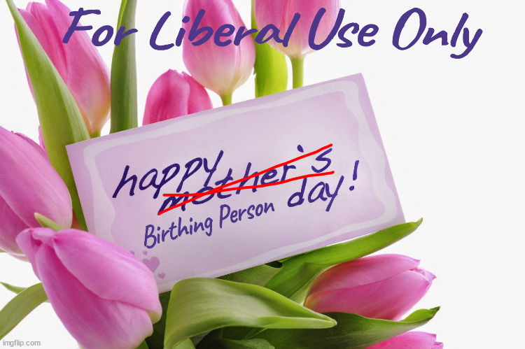 Liberals are complete morons | image tagged in stupid liberals,libtards | made w/ Imgflip meme maker