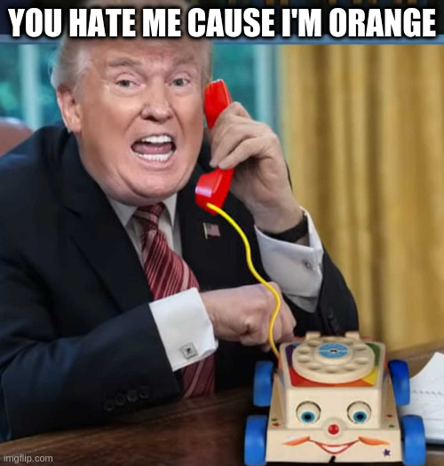 well ya but not - not just that! | YOU HATE ME CAUSE I'M ORANGE | image tagged in i'm the president | made w/ Imgflip meme maker