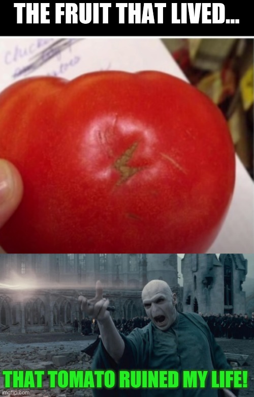That tomato has a hard life ahead | THE FRUIT THAT LIVED... THAT TOMATO RUINED MY LIFE! | image tagged in tomatoes,harry potter | made w/ Imgflip meme maker