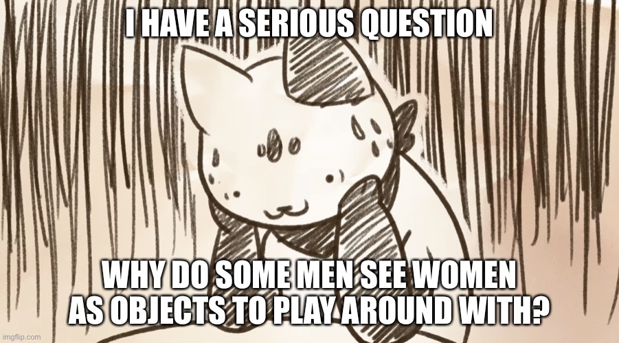 Yes, I know that this isn’t LGBTQ, but it’s still serious | I HAVE A SERIOUS QUESTION; WHY DO SOME MEN SEE WOMEN AS OBJECTS TO PLAY AROUND WITH? | image tagged in chipflake questioning life | made w/ Imgflip meme maker