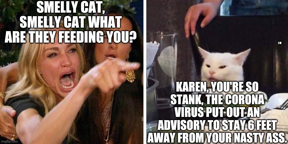 Smudge the cat | SMELLY CAT, SMELLY CAT WHAT ARE THEY FEEDING YOU? J M; KAREN, YOU'RE SO STANK, THE CORONA VIRUS PUT OUT AN ADVISORY TO STAY 6 FEET AWAY FROM YOUR NASTY ASS. | image tagged in smudge the cat | made w/ Imgflip meme maker