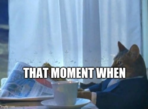 the | THAT MOMENT WHEN | image tagged in memes,i should buy a boat cat | made w/ Imgflip meme maker