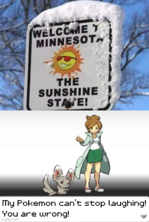 Ice is in the sunshine state? | image tagged in my pokemon can't stop laughing you are wrong,stupid signs,minnesota,florida,you had one job just the one,wow you failed this job | made w/ Imgflip meme maker